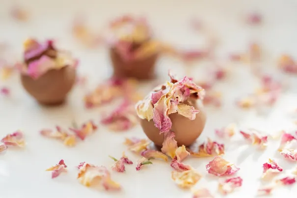 アンドロメダ カジノ Android/iOS アプリ